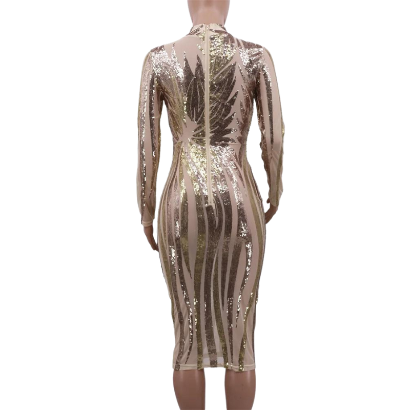 Sexy Transparent Pailletten-Kleid