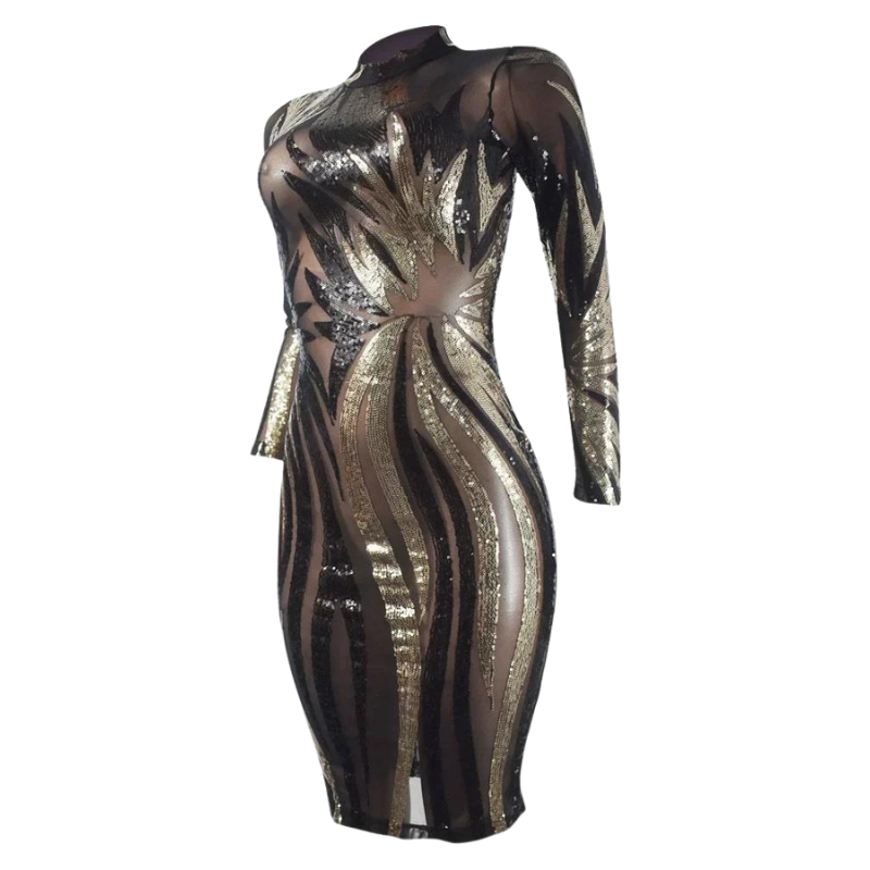 Sexy Transparent Pailletten-Kleid