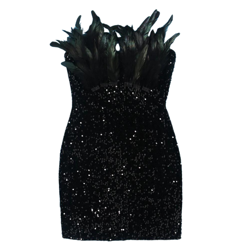Mini Rock Abend Pailletten Bustier Federn