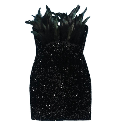 Mini Rock Abend Pailletten Bustier Federn
