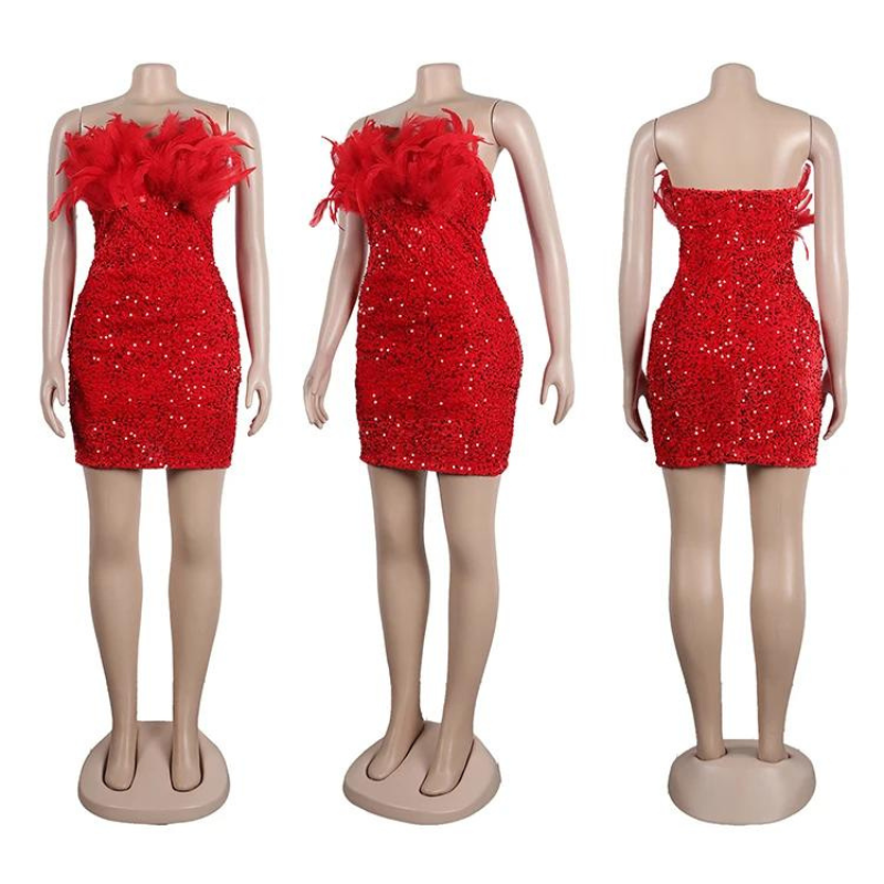 Mini Rock Abend Pailletten Bustier Federn