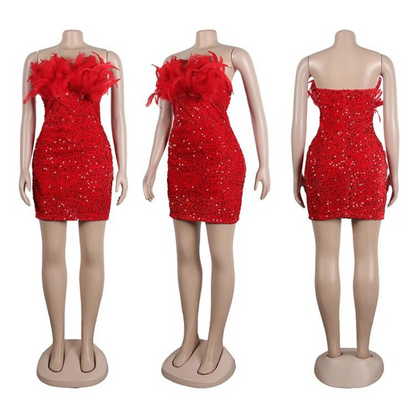 Mini Rock Abend Pailletten Bustier Federn